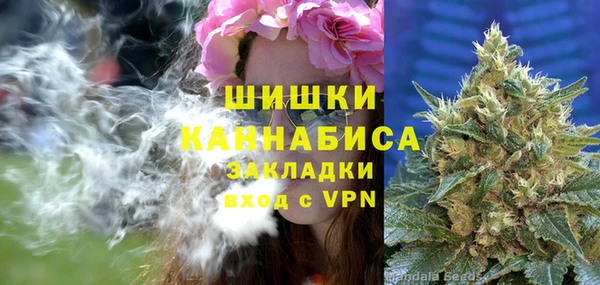 гашик Кулебаки