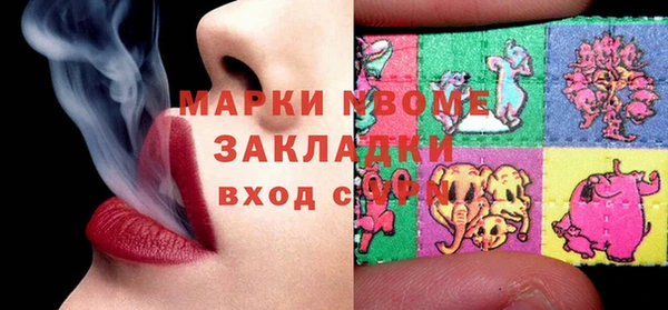 гашик Кулебаки