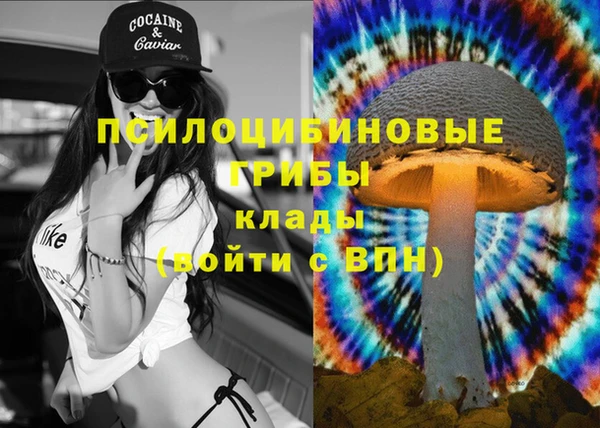 spice Кукмор