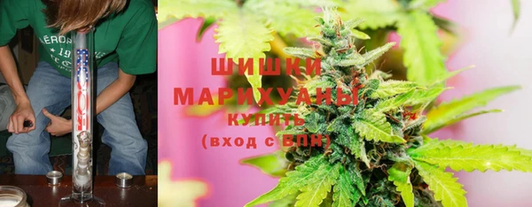 spice Кукмор
