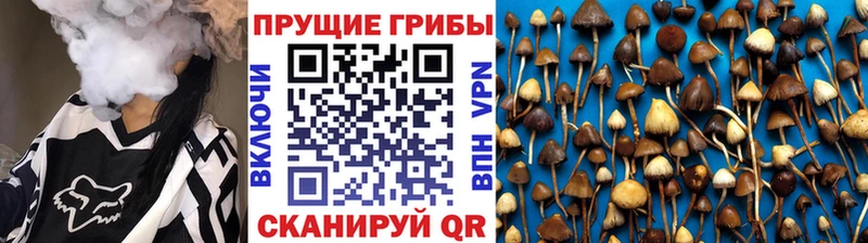 Галлюциногенные грибы GOLDEN TEACHER Холмск