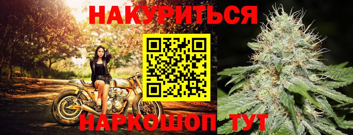 Конопля сатива Холмск
